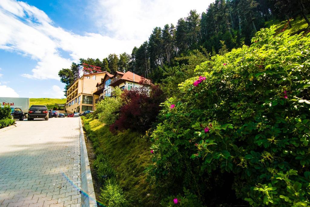 Hotel Bellavista Brasov Săcele Pokój zdjęcie