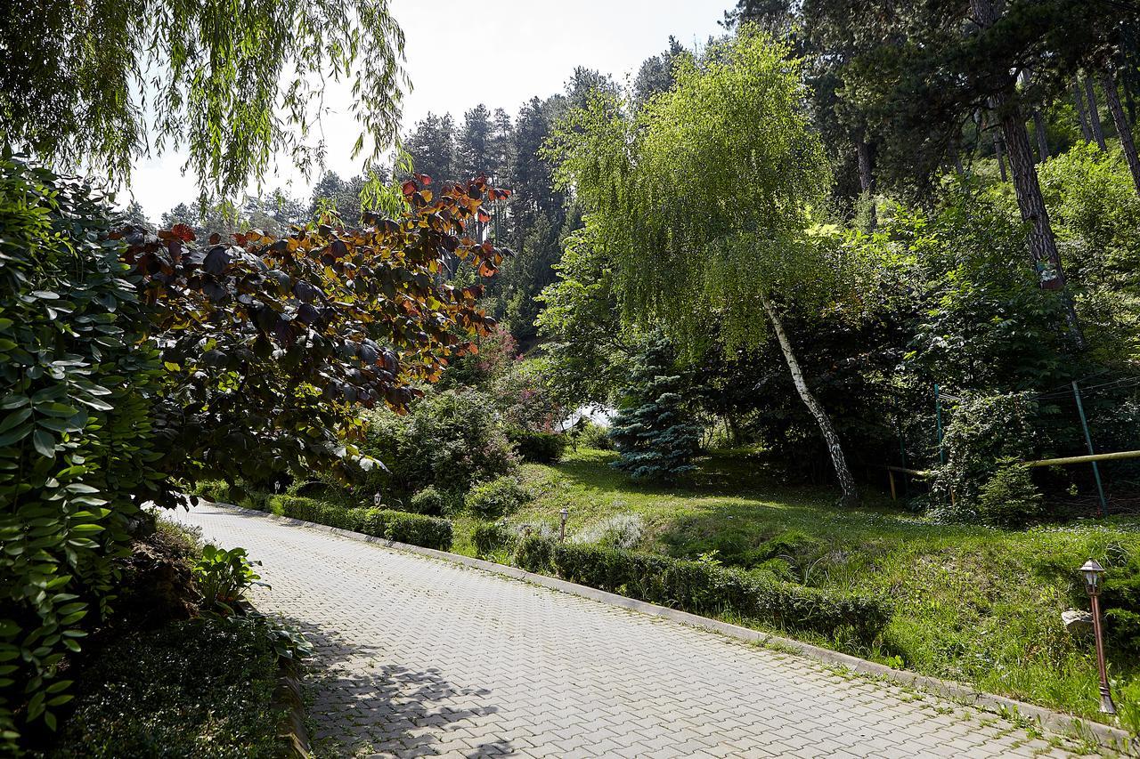 Hotel Bellavista Brasov Săcele Zewnętrze zdjęcie